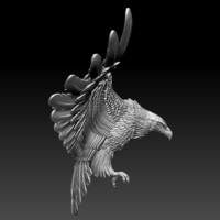 eagle - Thumbnail 9
