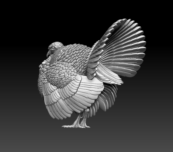 turkey 3D Print 509838