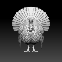 turkey - Thumbnail 2