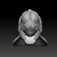 turkey - Thumbnail 3