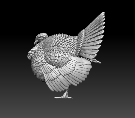 turkey 3D Print 509841