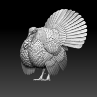 Small turkey 3D Printing 509842