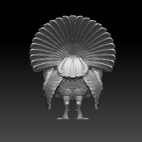 turkey - Thumbnail 6