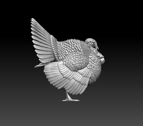 turkey 3D Print 509844