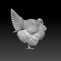 turkey - Thumbnail 7