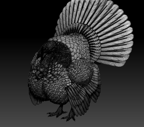 turkey 3D Print 509845