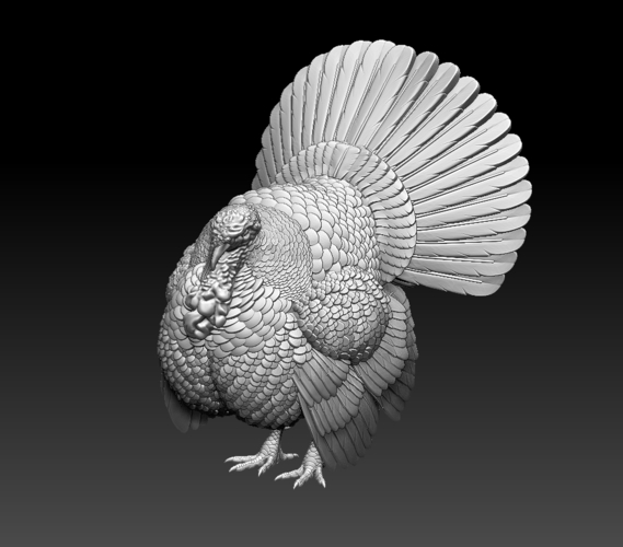 turkey 3D Print 509846