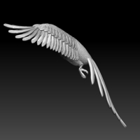 parrot - Thumbnail 1