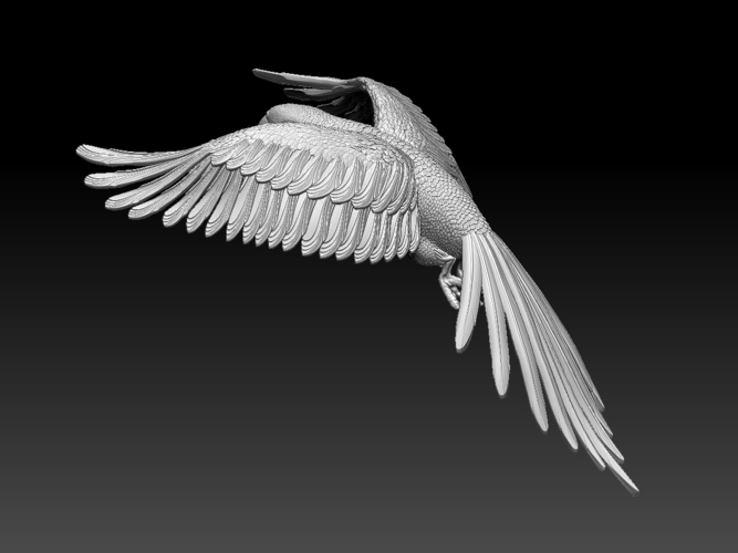 parrot 3D Print 509849