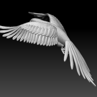 parrot - Thumbnail 2