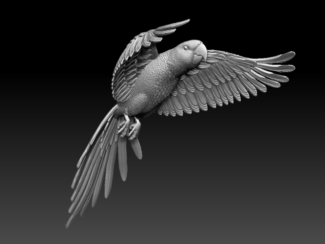 parrot 3D Print 509851