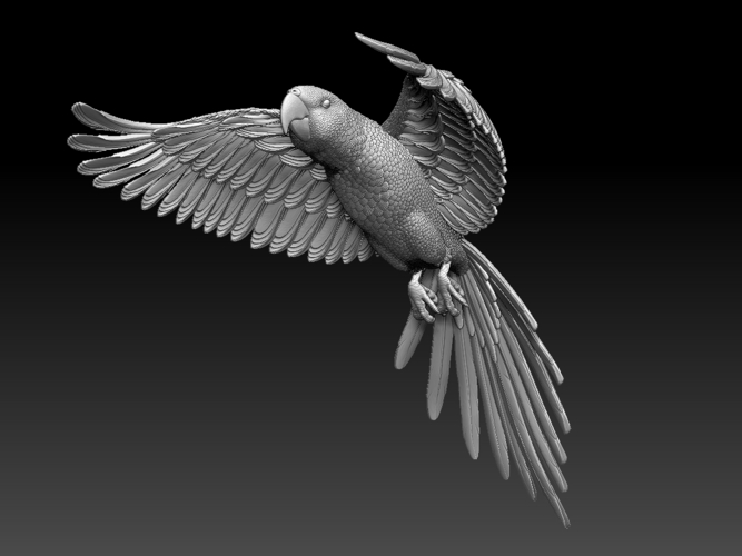 parrot 3D Print 509855