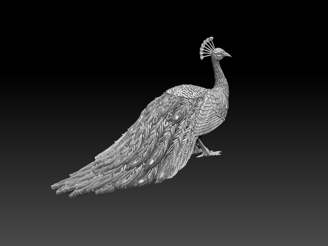 peacock 3D Print 509857