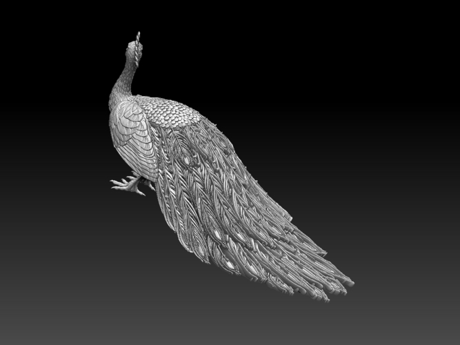 peacock 3D Print 509861