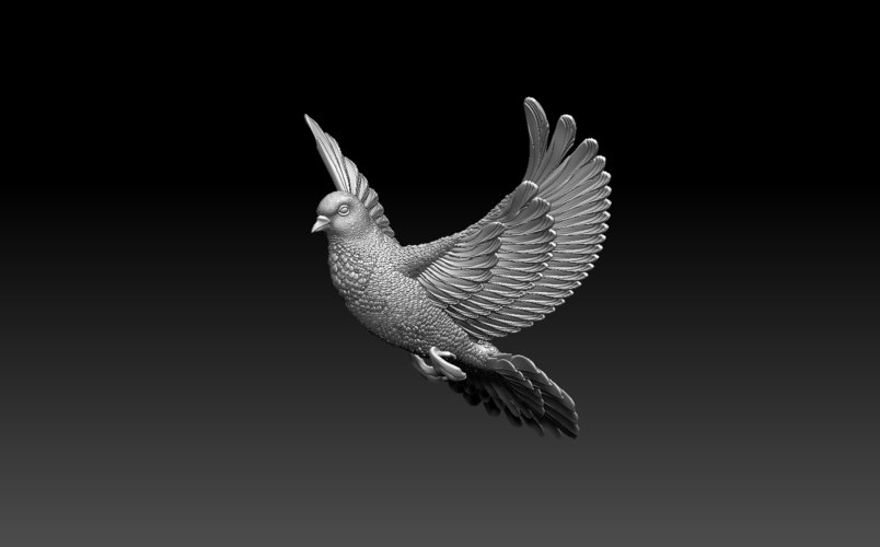 pigeon 3D Print 509872