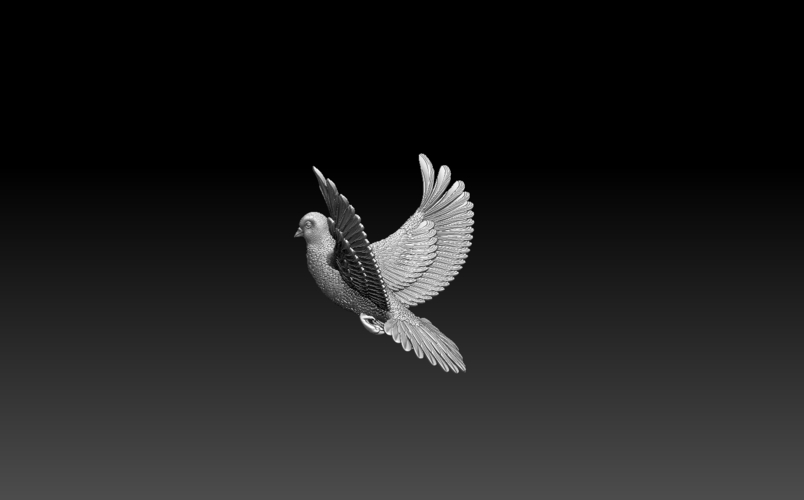 pigeon 3D Print 509876