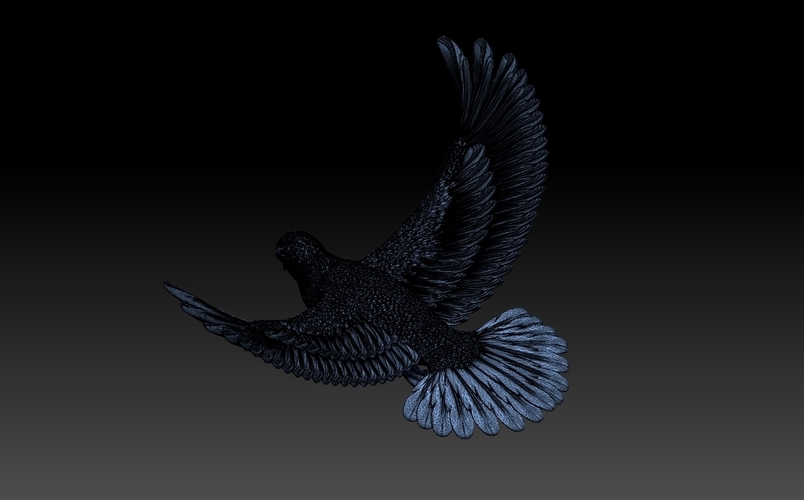 pigeon 3D Print 509877