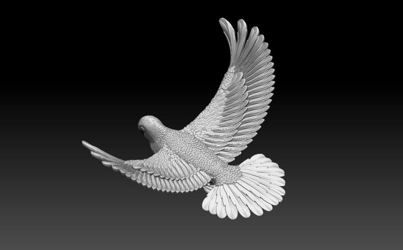 pigeon 3D Print 509878