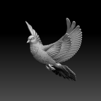 pigeon - Thumbnail 2