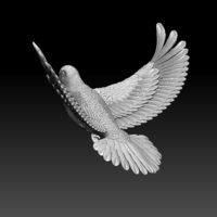 pigeon - Thumbnail 3