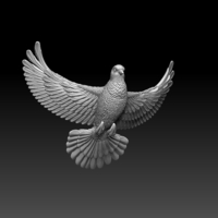 pigeon - Thumbnail 4