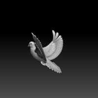 pigeon - Thumbnail 5