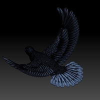 pigeon - Thumbnail 6