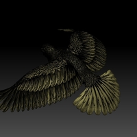 pigeon - Thumbnail 1