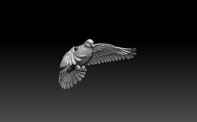 pigeon 3D Print 509888