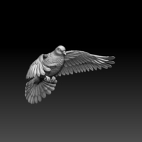 pigeon - Thumbnail 2