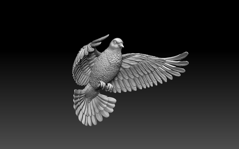 pigeon 3D Print 509889