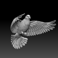 Small pigeon 3D Printing 509889