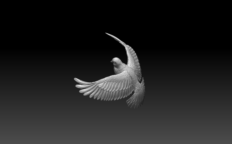 pigeon 3D Print 509890