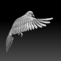 pigeon - Thumbnail 5