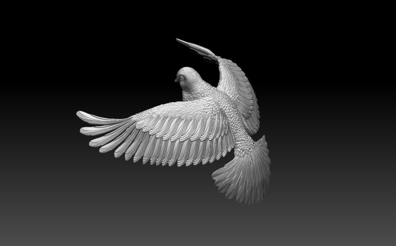 pigeon 3D Print 509892