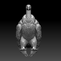vulture - Thumbnail 1