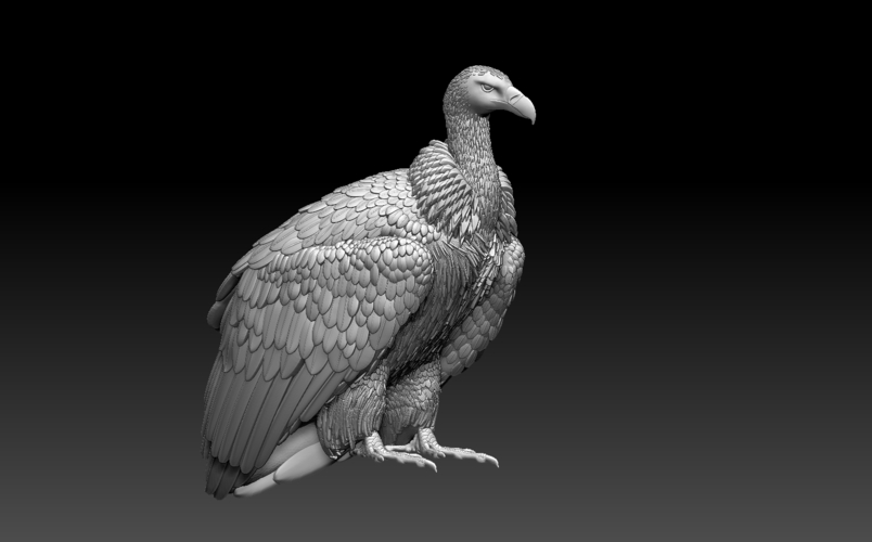 vulture 3D Print 509929