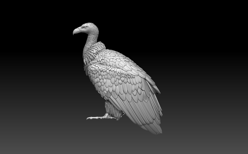 vulture 3D Print 509930