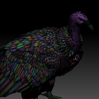 vulture - Thumbnail 5