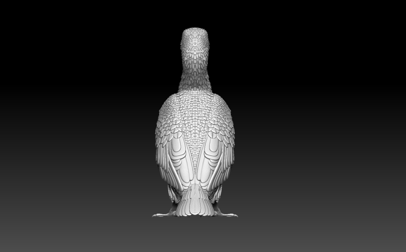 cormorant 3D Print 509941