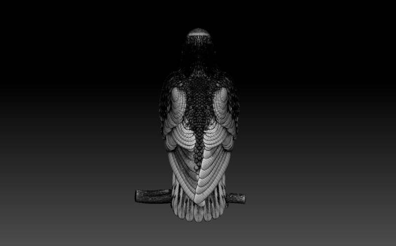 bird 3D Print 509945