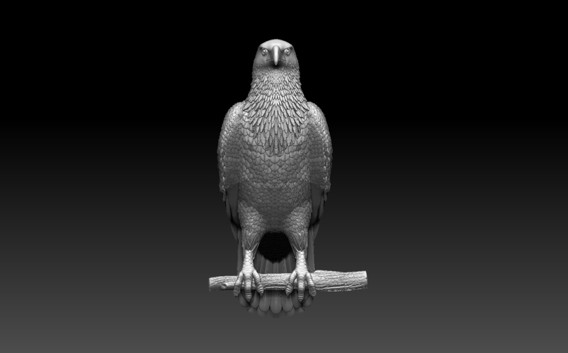 bird 3D Print 509947