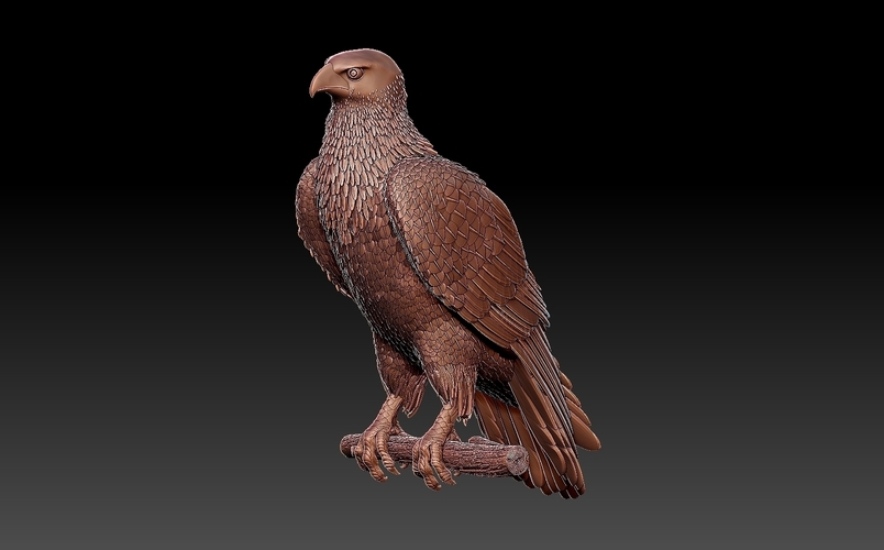 bird 3D Print 509948