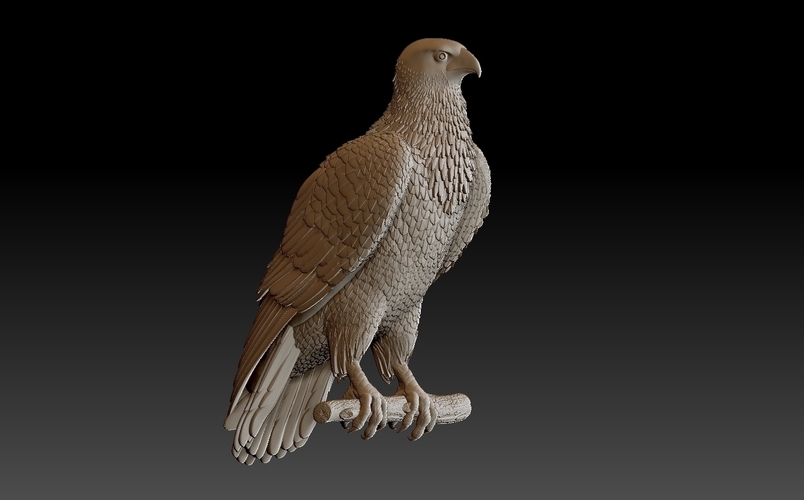 bird 3D Print 509950