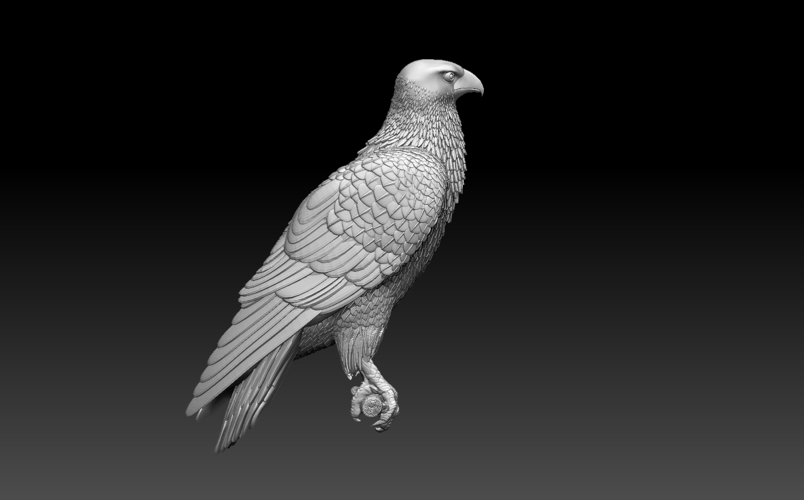 bird 3D Print 509951