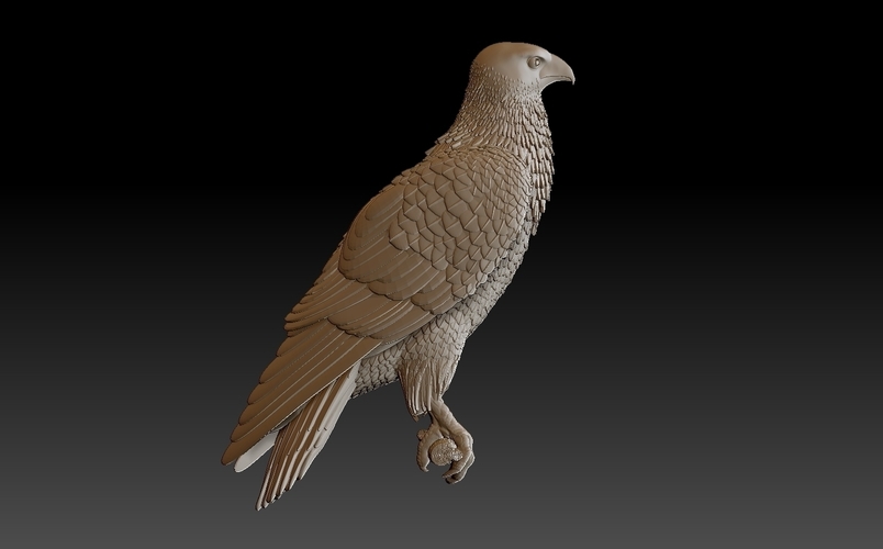 bird 3D Print 509952