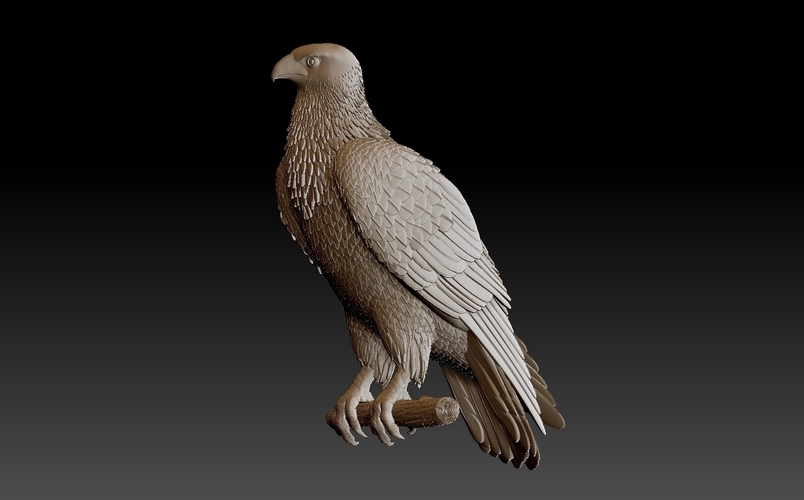 bird 3D Print 509953