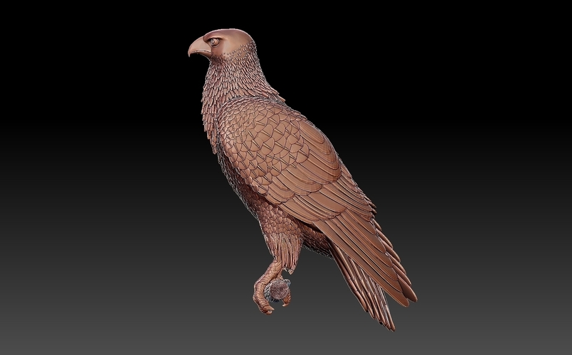 bird 3D Print 509954