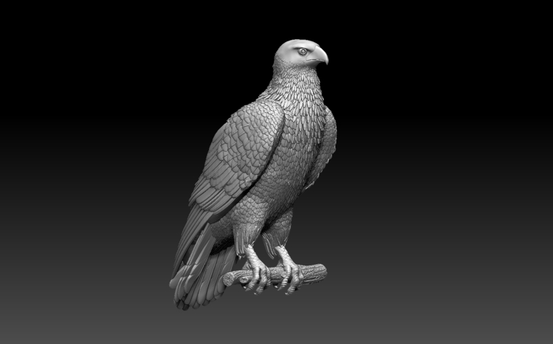 bird 3D Print 509955