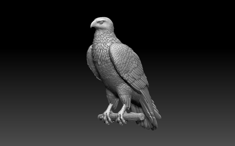 bird 3D Print 509956